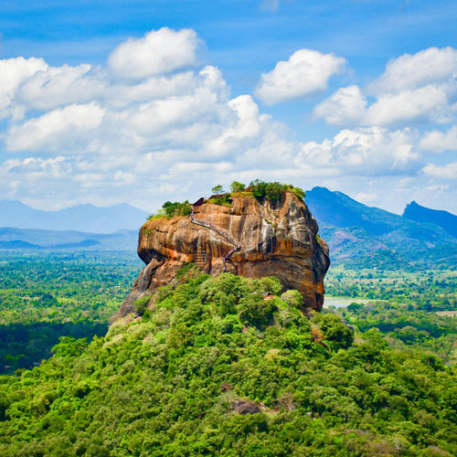 Wildlife Photography Tours