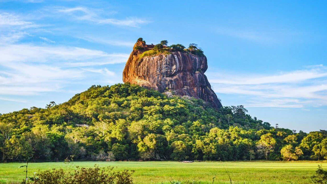Slide 5